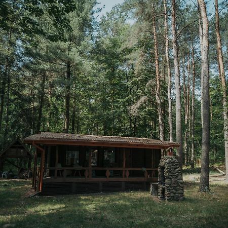 Forest Cabin - 50Min Od Warszawy Wola Polska Ngoại thất bức ảnh