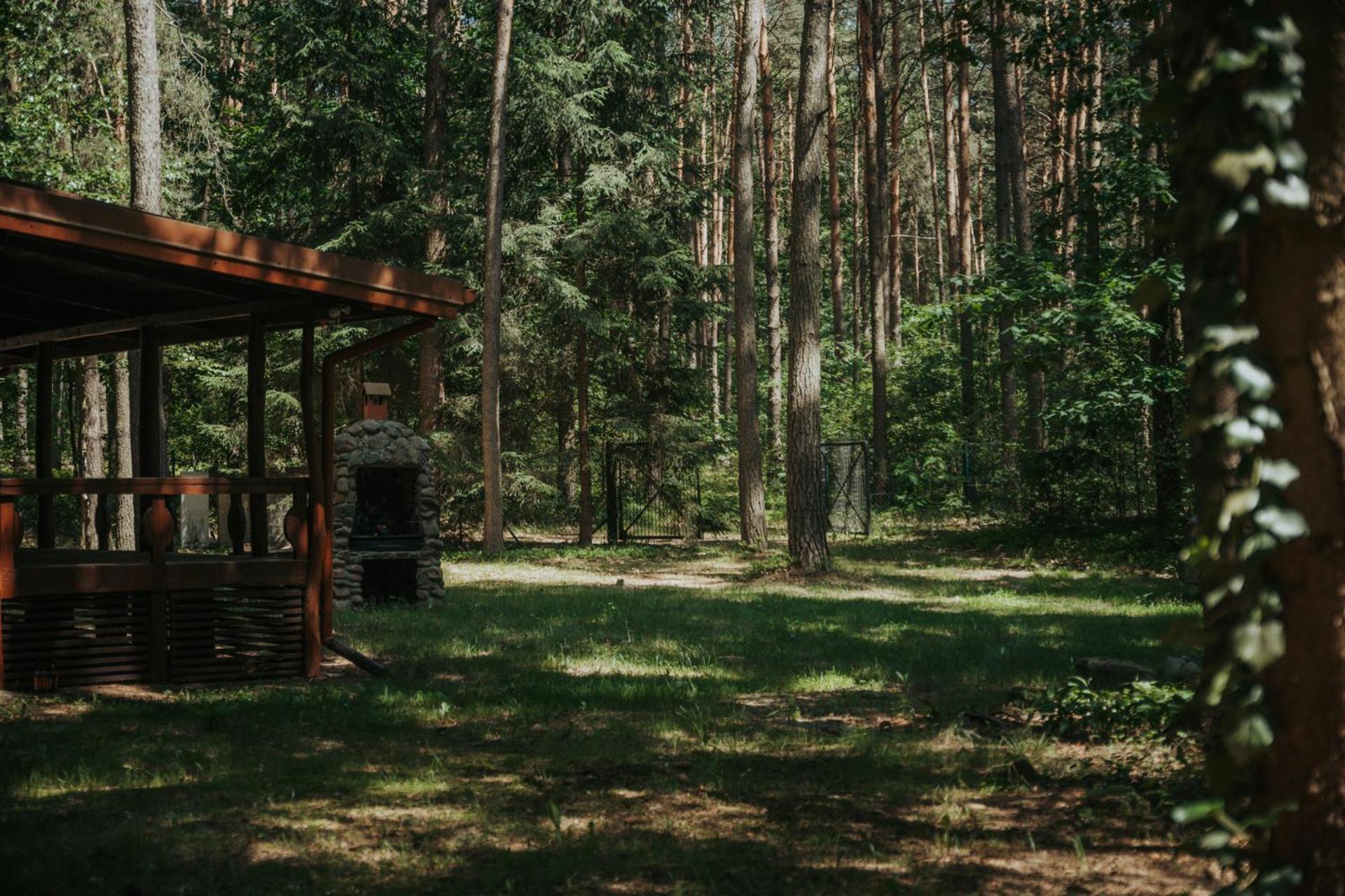 Forest Cabin - 50Min Od Warszawy Wola Polska Ngoại thất bức ảnh