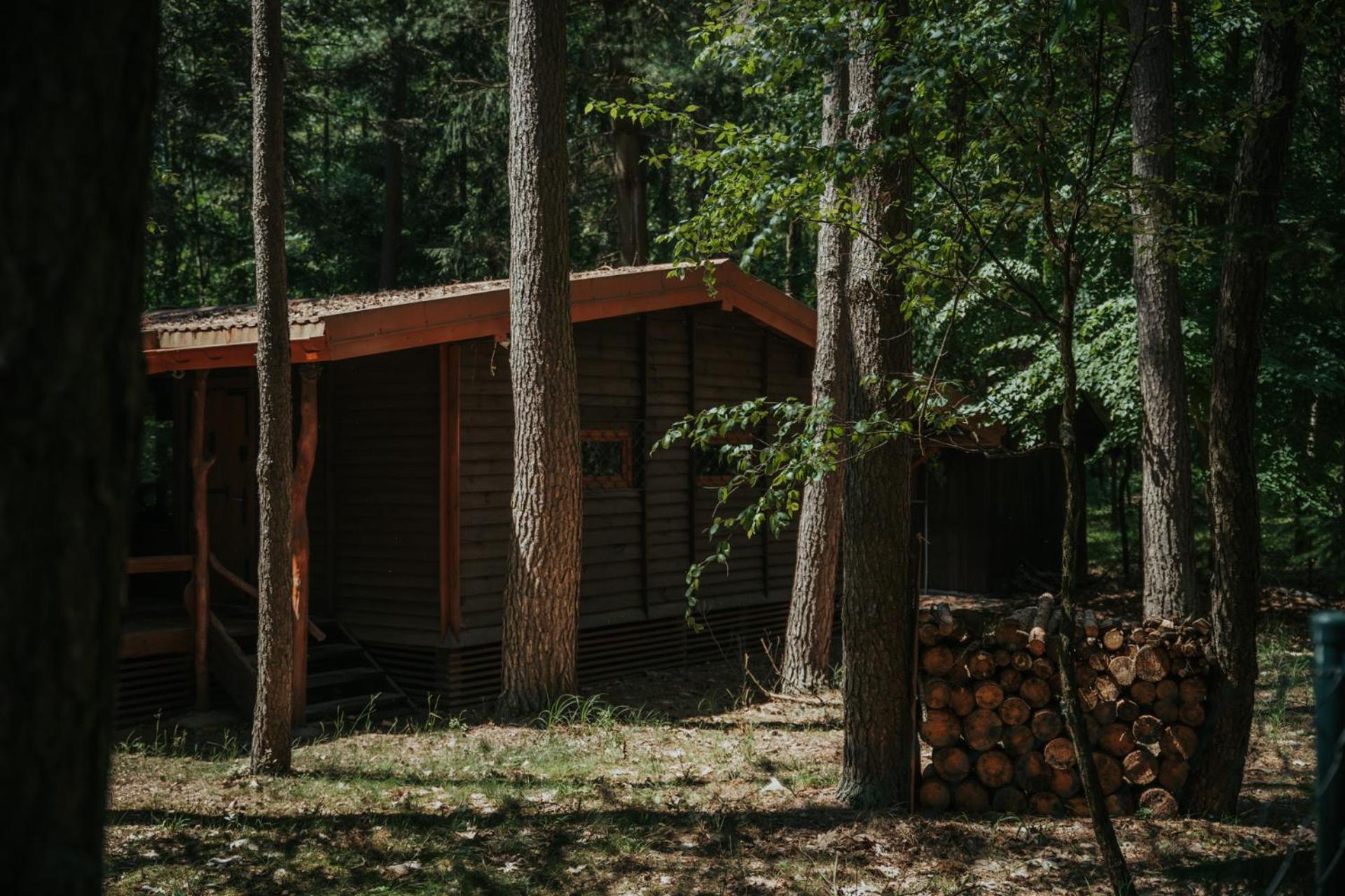 Forest Cabin - 50Min Od Warszawy Wola Polska Ngoại thất bức ảnh