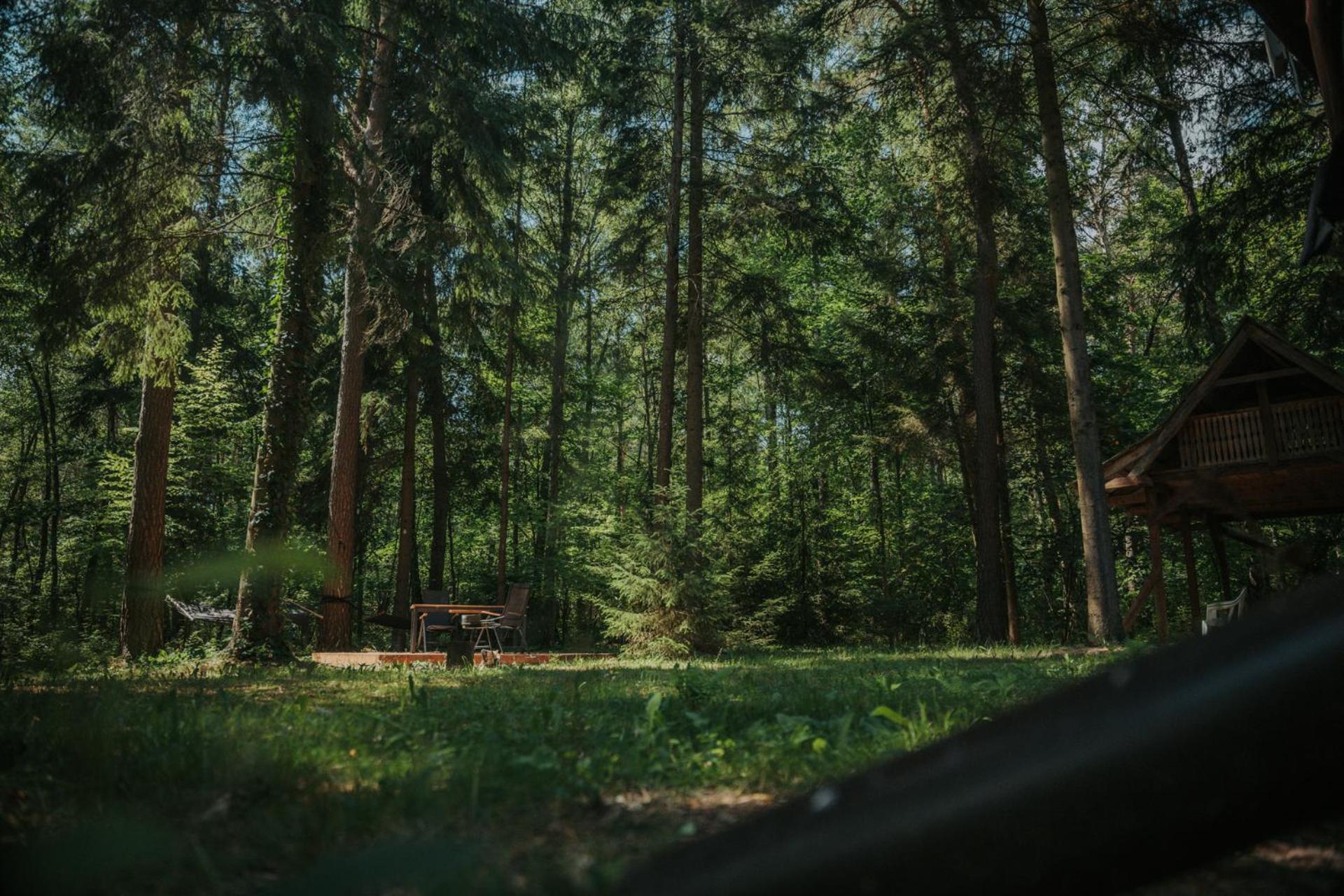 Forest Cabin - 50Min Od Warszawy Wola Polska Ngoại thất bức ảnh