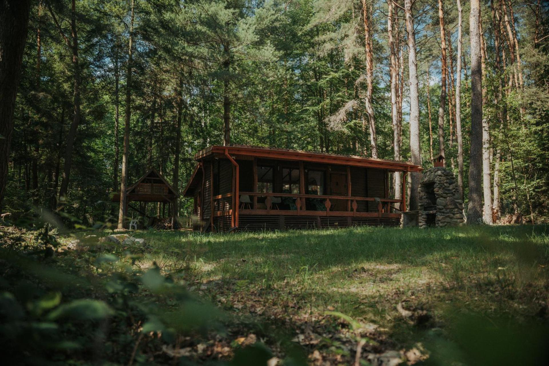 Forest Cabin - 50Min Od Warszawy Wola Polska Ngoại thất bức ảnh