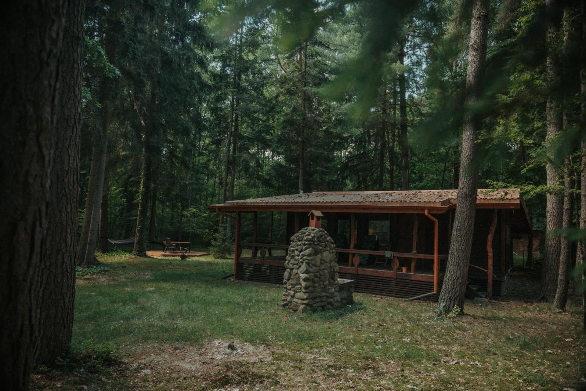 Forest Cabin - 50Min Od Warszawy Wola Polska Ngoại thất bức ảnh