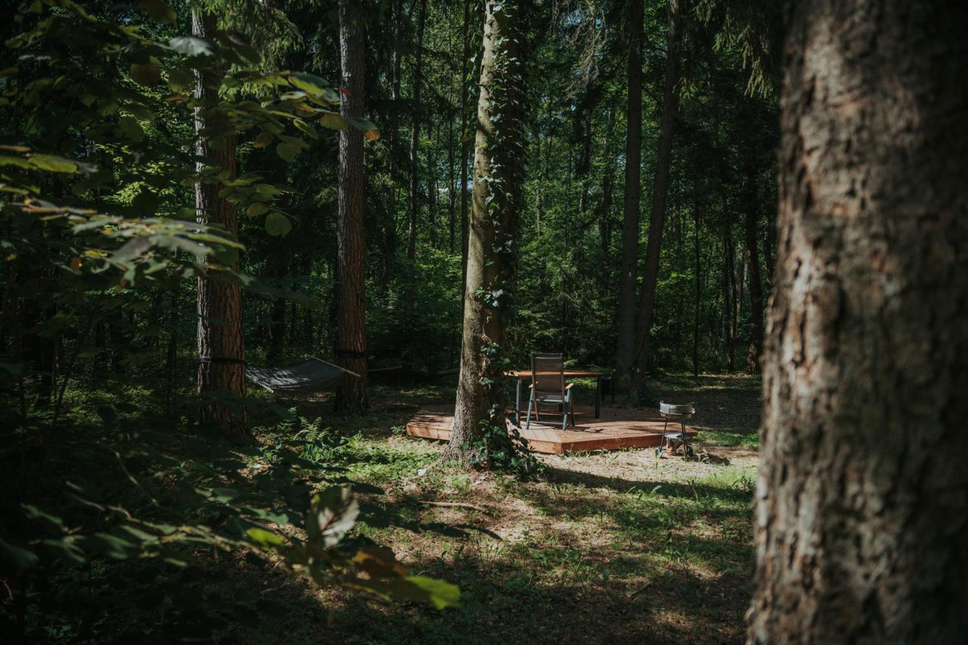 Forest Cabin - 50Min Od Warszawy Wola Polska Ngoại thất bức ảnh