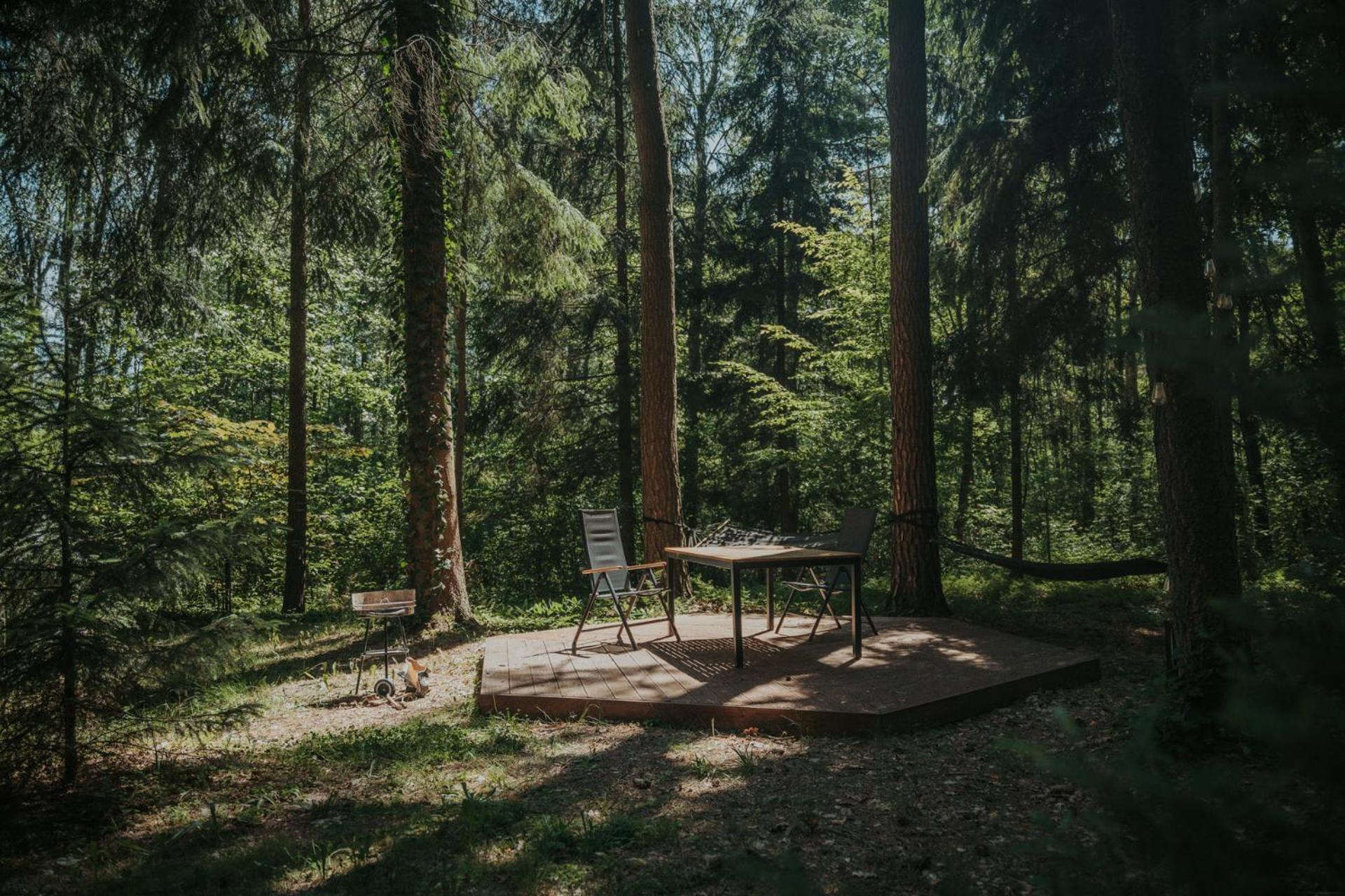 Forest Cabin - 50Min Od Warszawy Wola Polska Ngoại thất bức ảnh