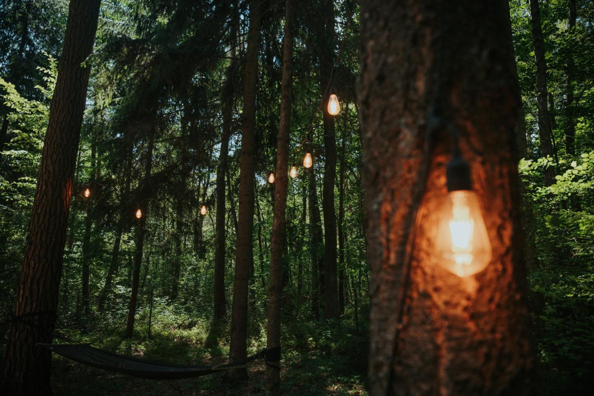 Forest Cabin - 50Min Od Warszawy Wola Polska Ngoại thất bức ảnh