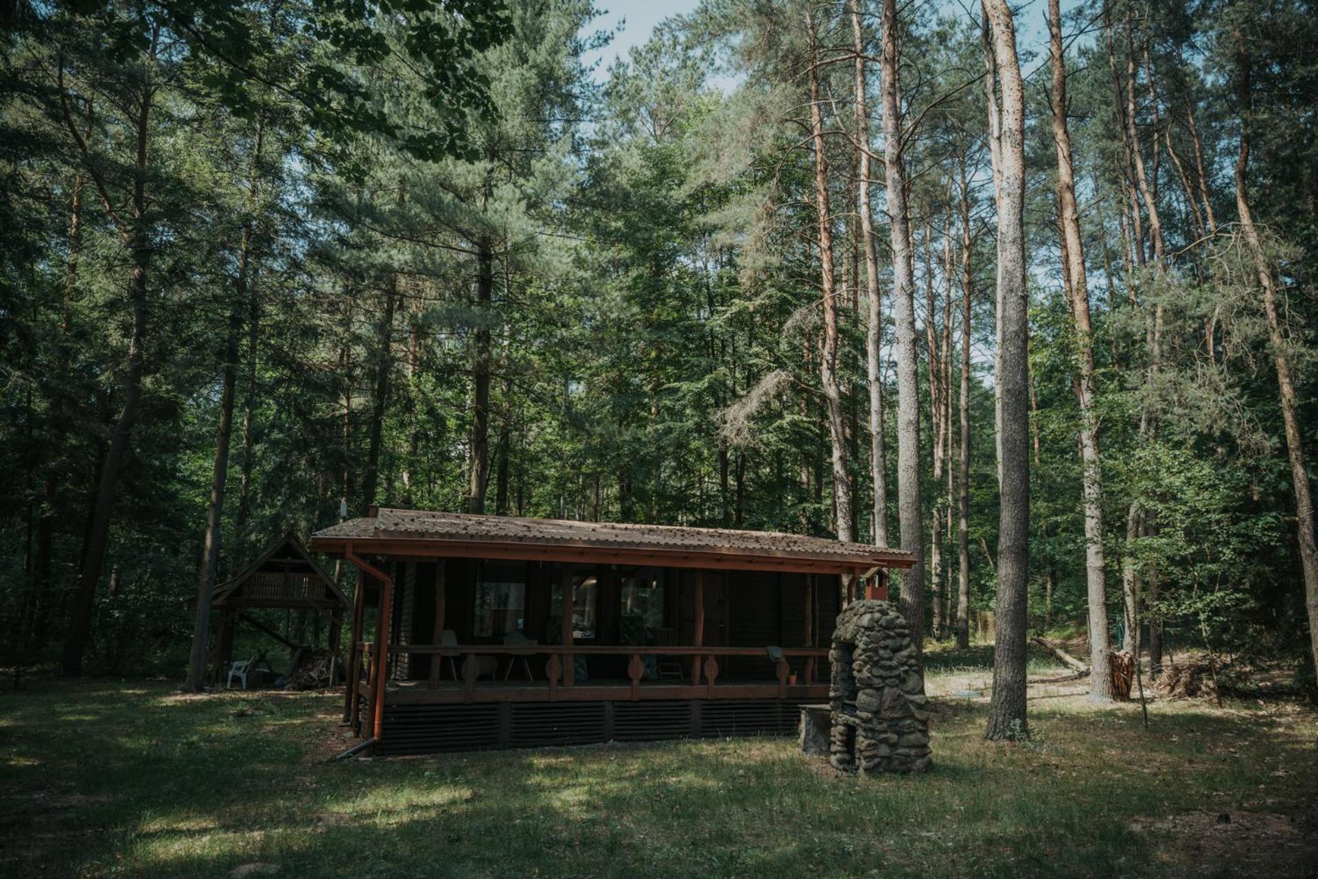Forest Cabin - 50Min Od Warszawy Wola Polska Ngoại thất bức ảnh