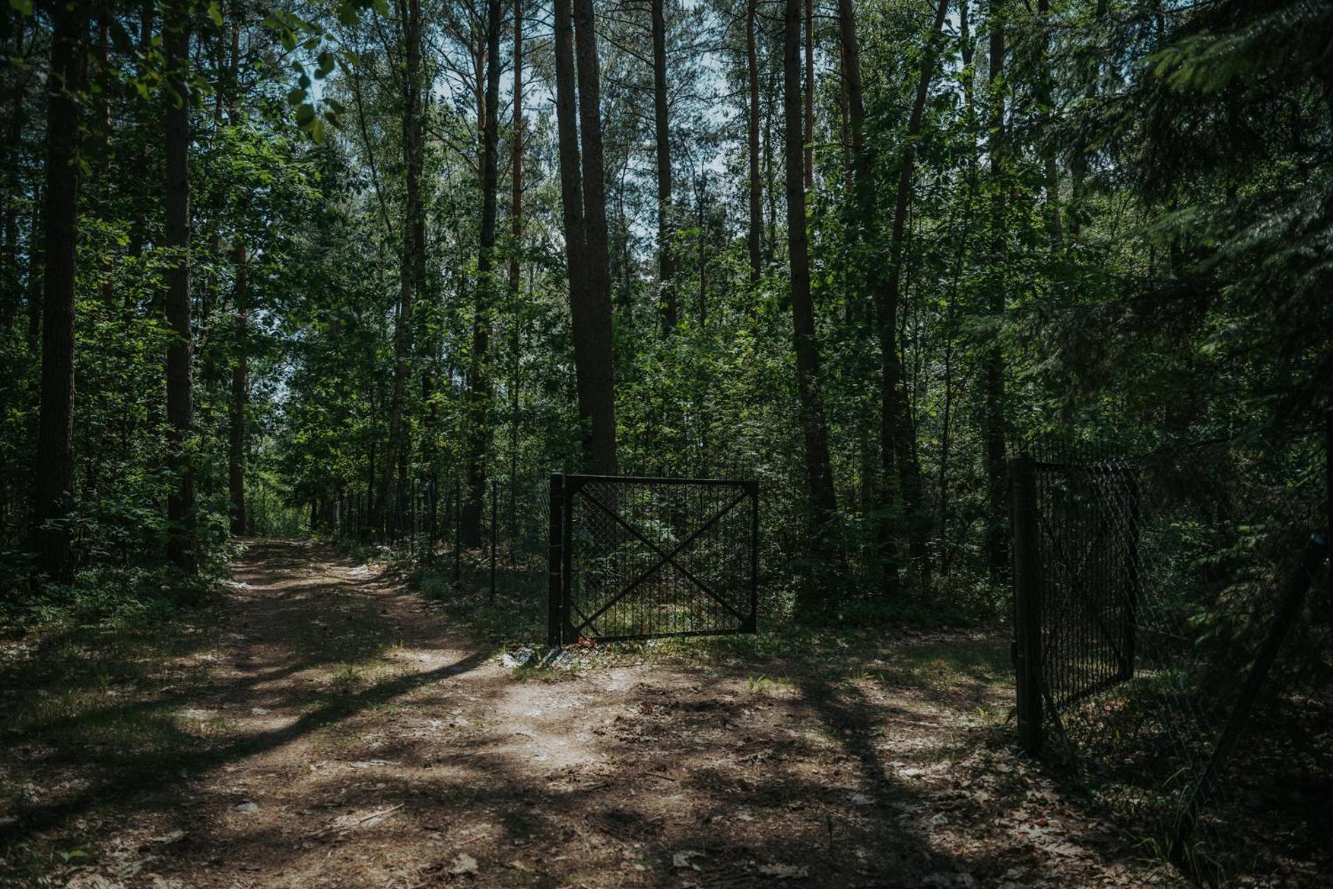Forest Cabin - 50Min Od Warszawy Wola Polska Ngoại thất bức ảnh